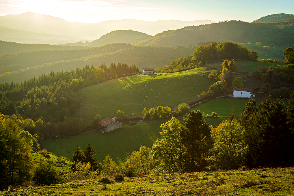 Valle de Navarra al atardecer con Destino Navarra