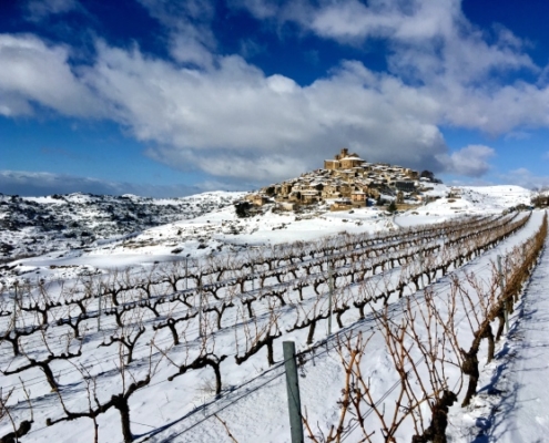 Vignobles et vue panoramique d’Ujué sous la neige